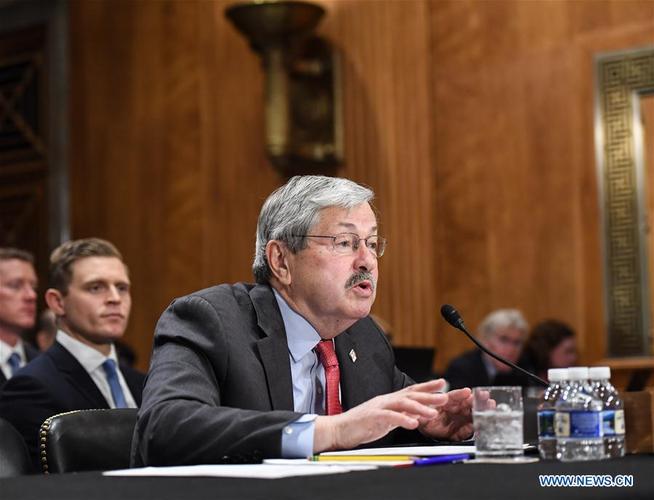 ca chet ho tay